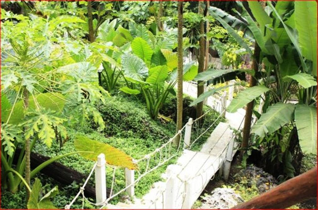 Rai Preda Homestay Ao Luk Bagian luar foto