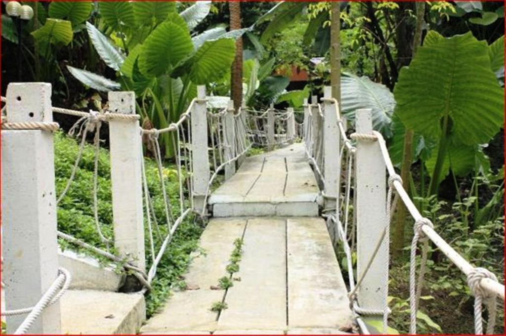 Rai Preda Homestay Ao Luk Bagian luar foto